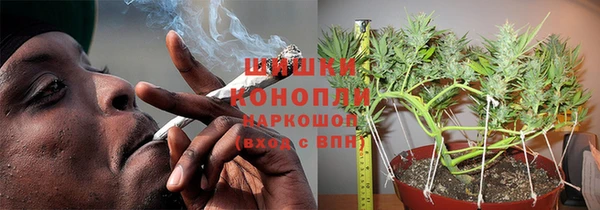 СК Алзамай