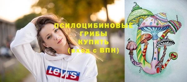 СК Алзамай