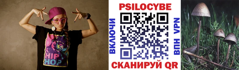 Псилоцибиновые грибы Magic Shrooms  купить закладку  Грязи 